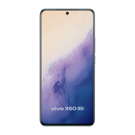 Vivo X60